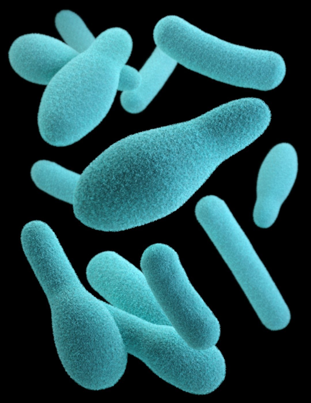 From Petri Dishes to People (image credits: unsplash)