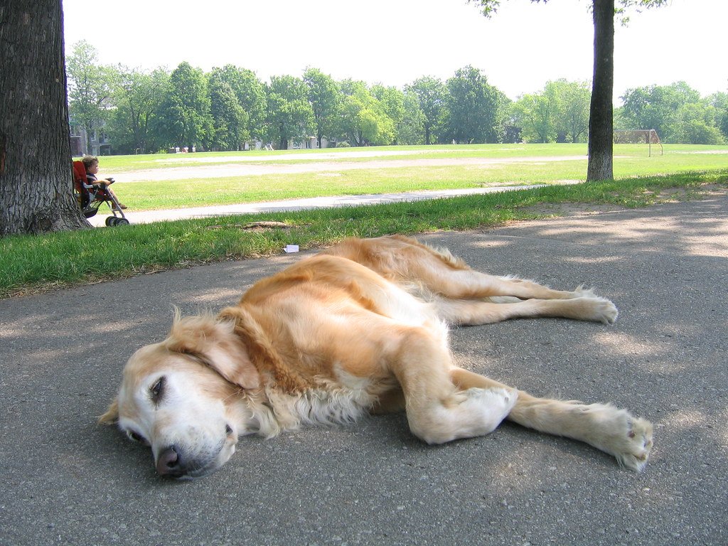 Conclusion (image credits: flickr)