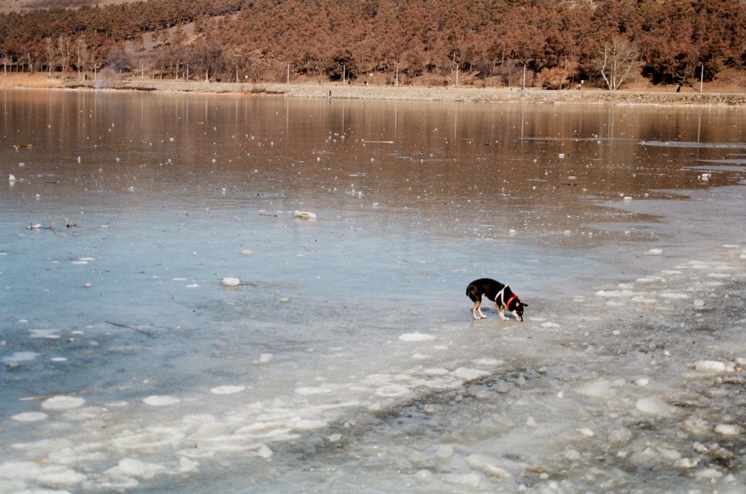 Frozen Water Hazards and Hidden Dangers (image credits: unsplash)
