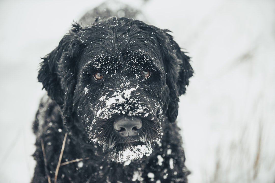 Hypothermia and Frostbite Risks (image credits: unsplash)