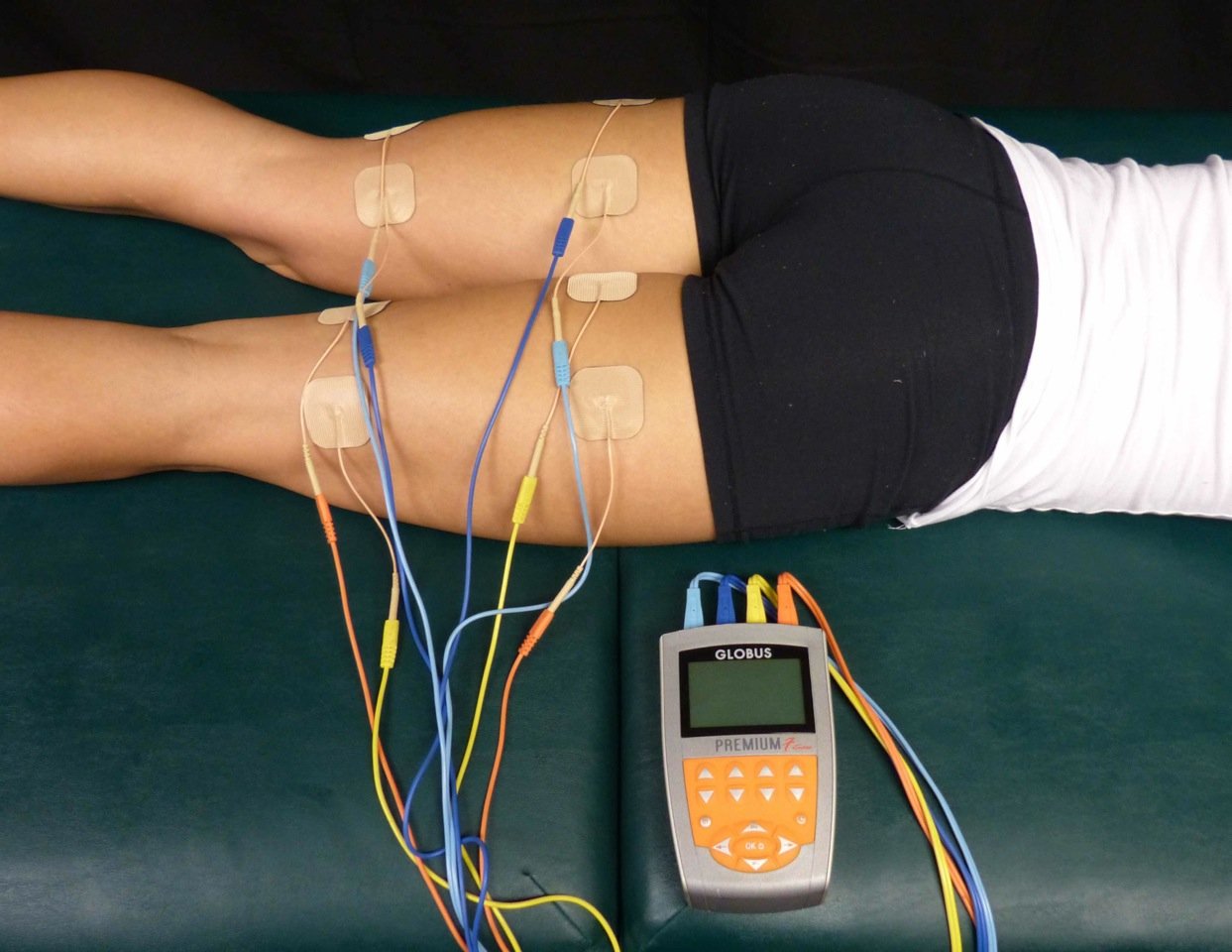 The Muscle Damage and Recovery Connection (image credits: wikimedia)