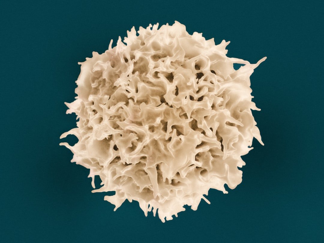 When Cells Choose Death Over Dysfunction (image credits: unsplash)