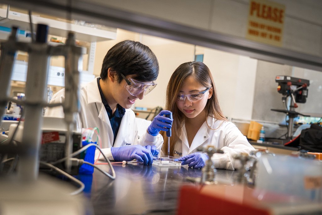 Breakthrough Materials Are Solving the Vascularization Problem (image credits: flickr)