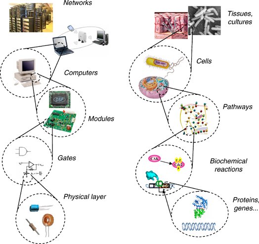Why It Matters (image credits: wikimedia)