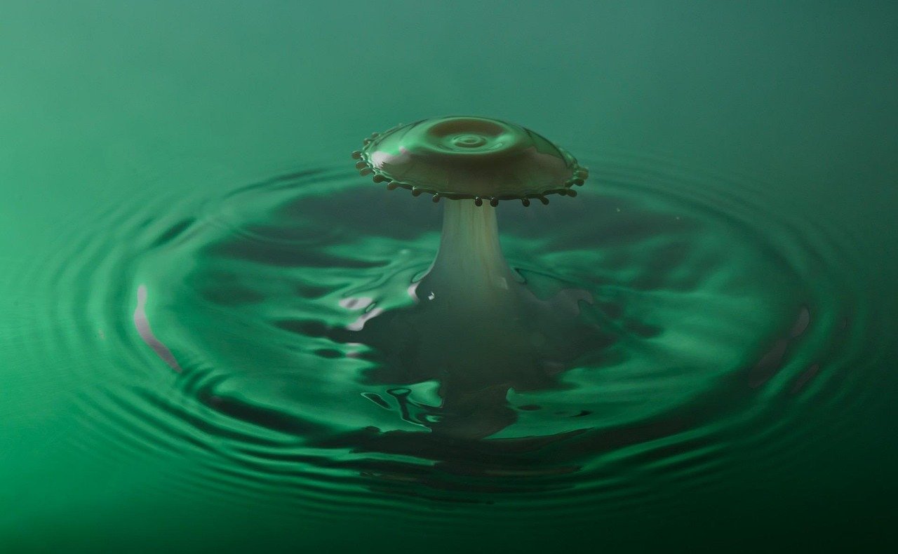 The Practical Magic of Extreme Cold (image credits: pixabay)