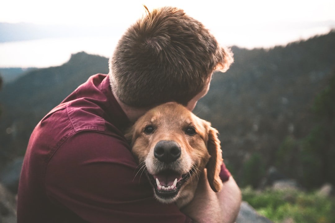 What This Means for You and Your Dog (image credits: unsplash)