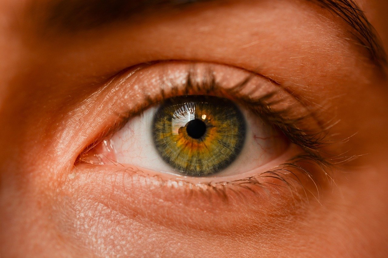 Seeing Colors Beyond Human Imagination (image credits: pixabay)