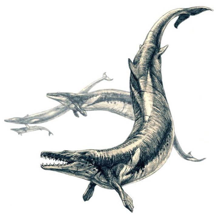 Basilosaurus - The King Lizard Serpent (image credits: Own work by Pavel Riha (see also the paleo-gallery by Pavel Riha), CC BY-SA 3.0, https://commons.wikimedia.org/w/index.php?curid=3840129)