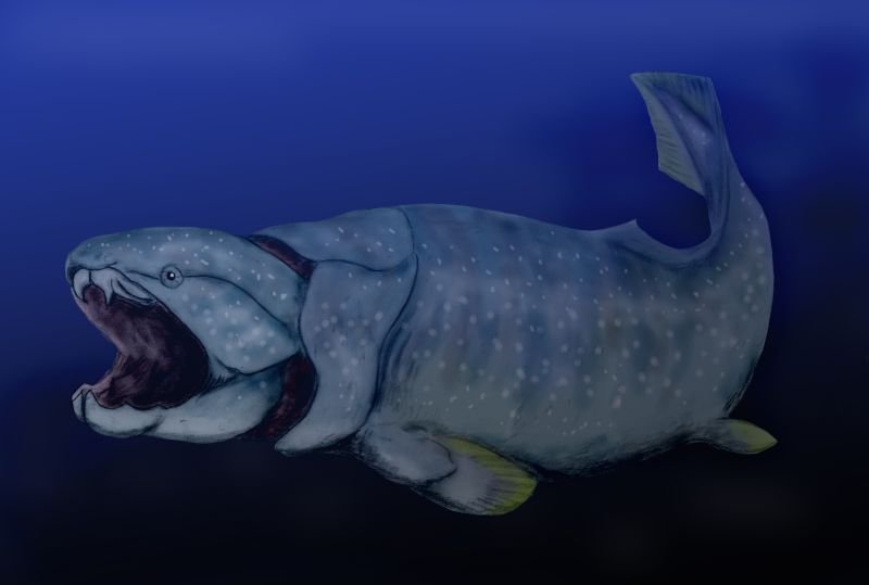 Dunkleosteus - The Armored Bone Crusher (image credits: By Nobu Tamura (http://spinops.blogspot.com), CC BY 3.0, https://commons.wikimedia.org/w/index.php?curid=19460006)