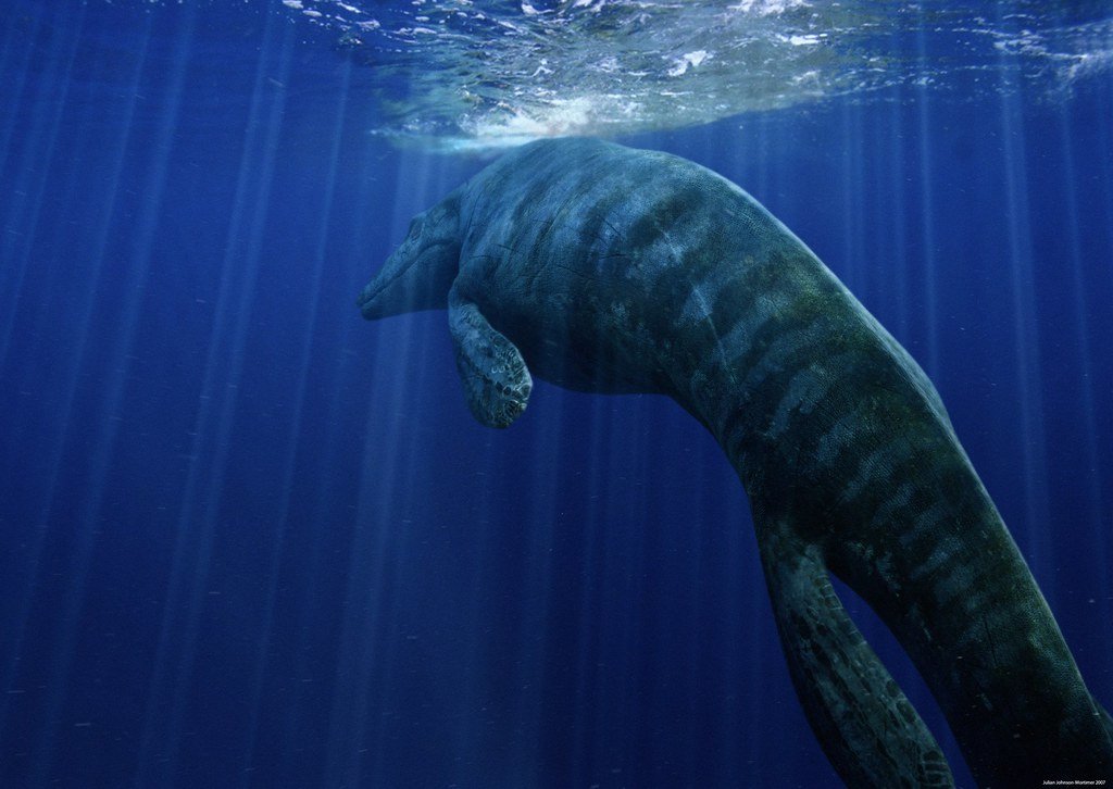Tylosaurus - The Ramming Machine (image credits: flickr)