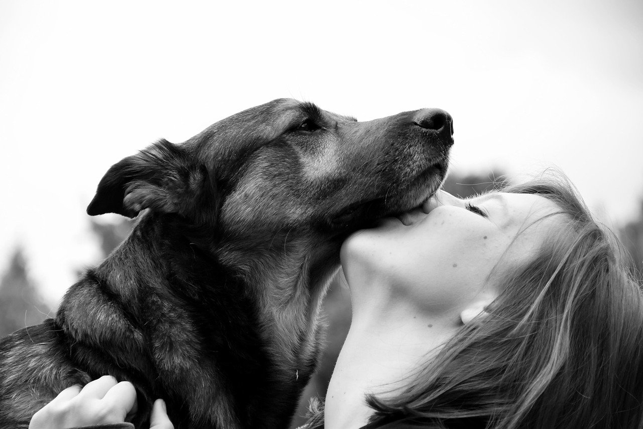 The Mutual Evolution Phenomenon: How We Changed Each Other (image credits: pixabay)