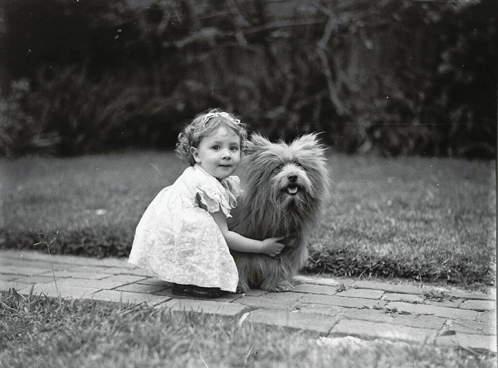 Reading Each Other's Minds: The Science of Canine Communication (image credits: flickr)