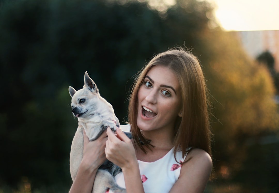 The Social Intelligence Factor: Dogs as Mind Readers (image credits: unsplash)