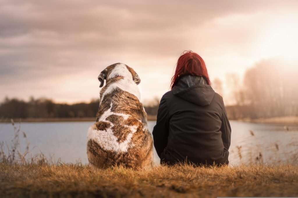 Why Dogs Bond So Well With Humans: The Science Behind The Human-Canine Relationship
