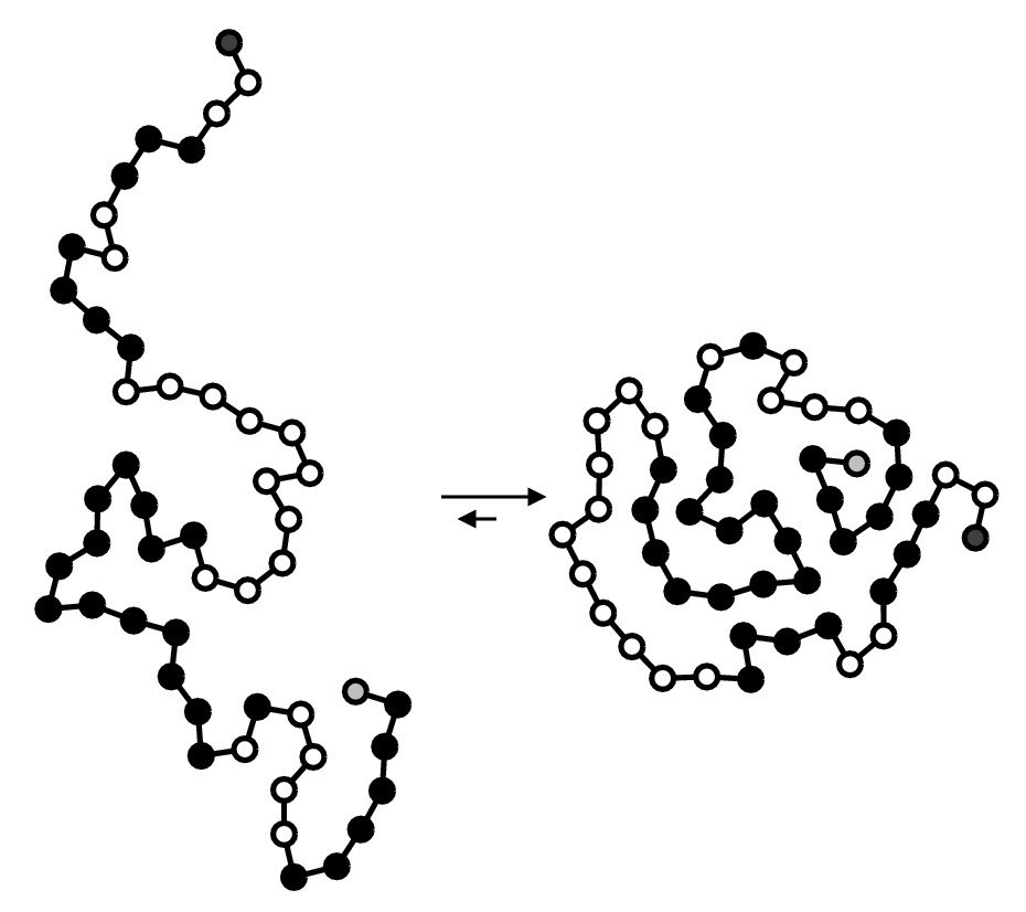 The Hidden Clues (image credits: wikimedia)