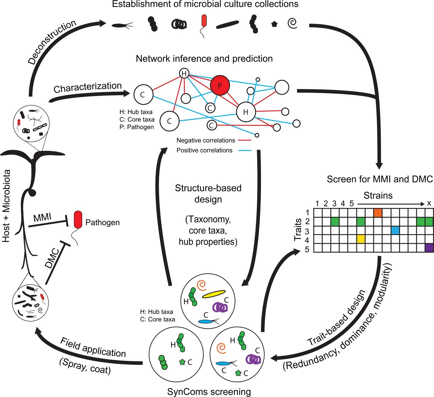 Defining a Species in the Age of Algorithms (image credits: wikimedia)