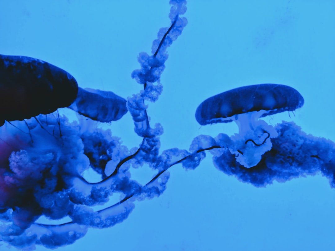 Inside the Machine: How AI Designs Biology (image credits: unsplash)