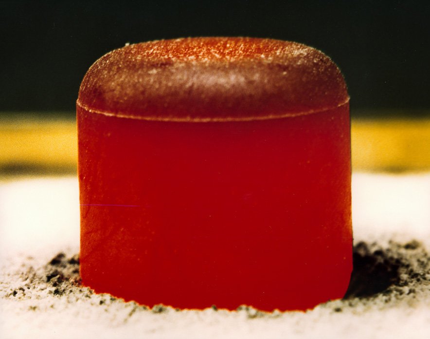 The Prototype on the Bench (image credits: wikimedia)