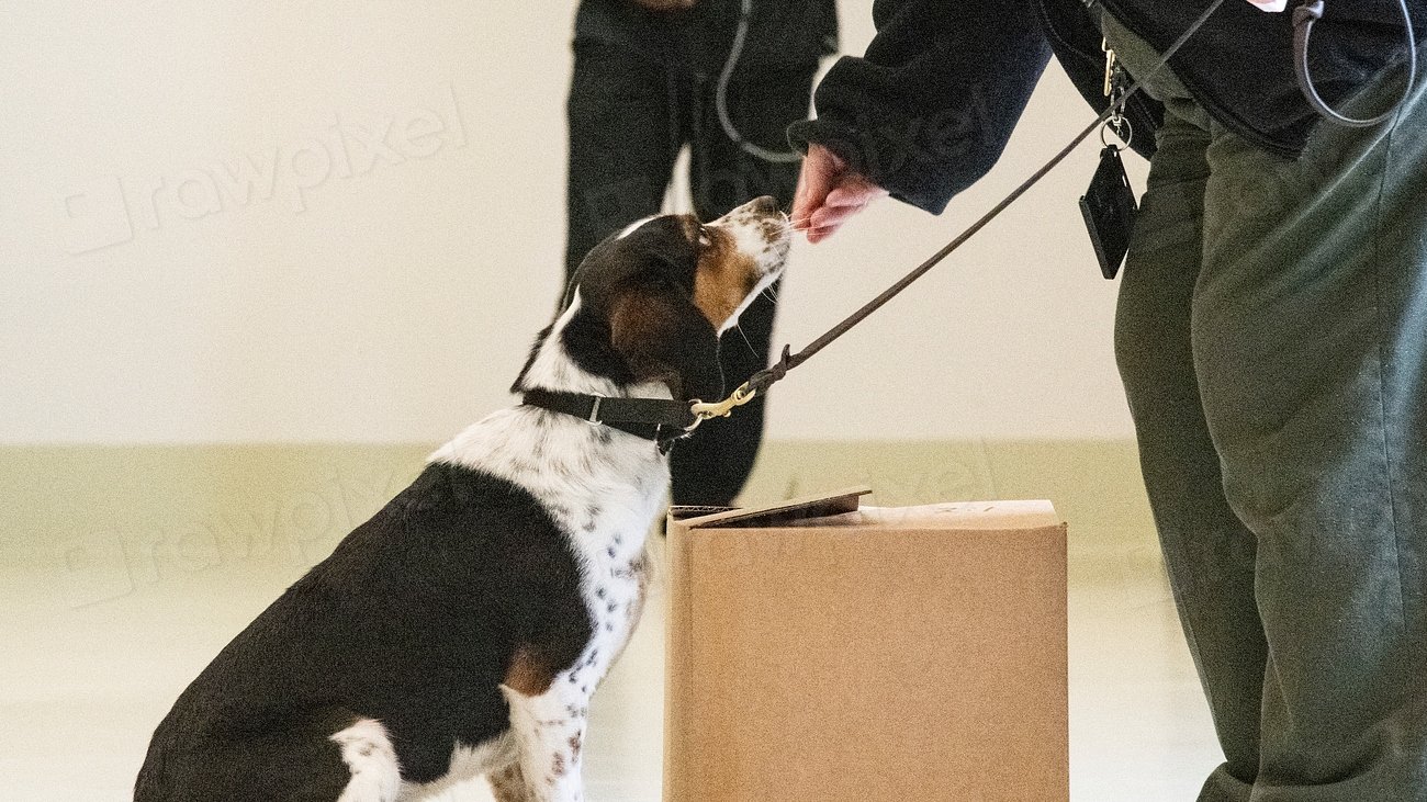 Global Perspectives (image credits: rawpixel)