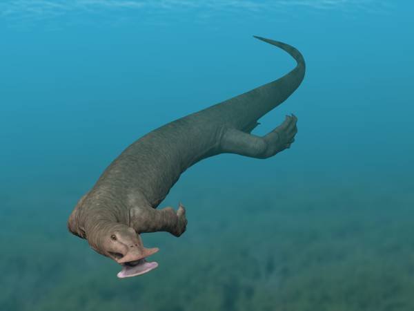 Atopodentatus unicus: The Triassic herbivore with a hammerhead mouth (image credits: wikimedia)