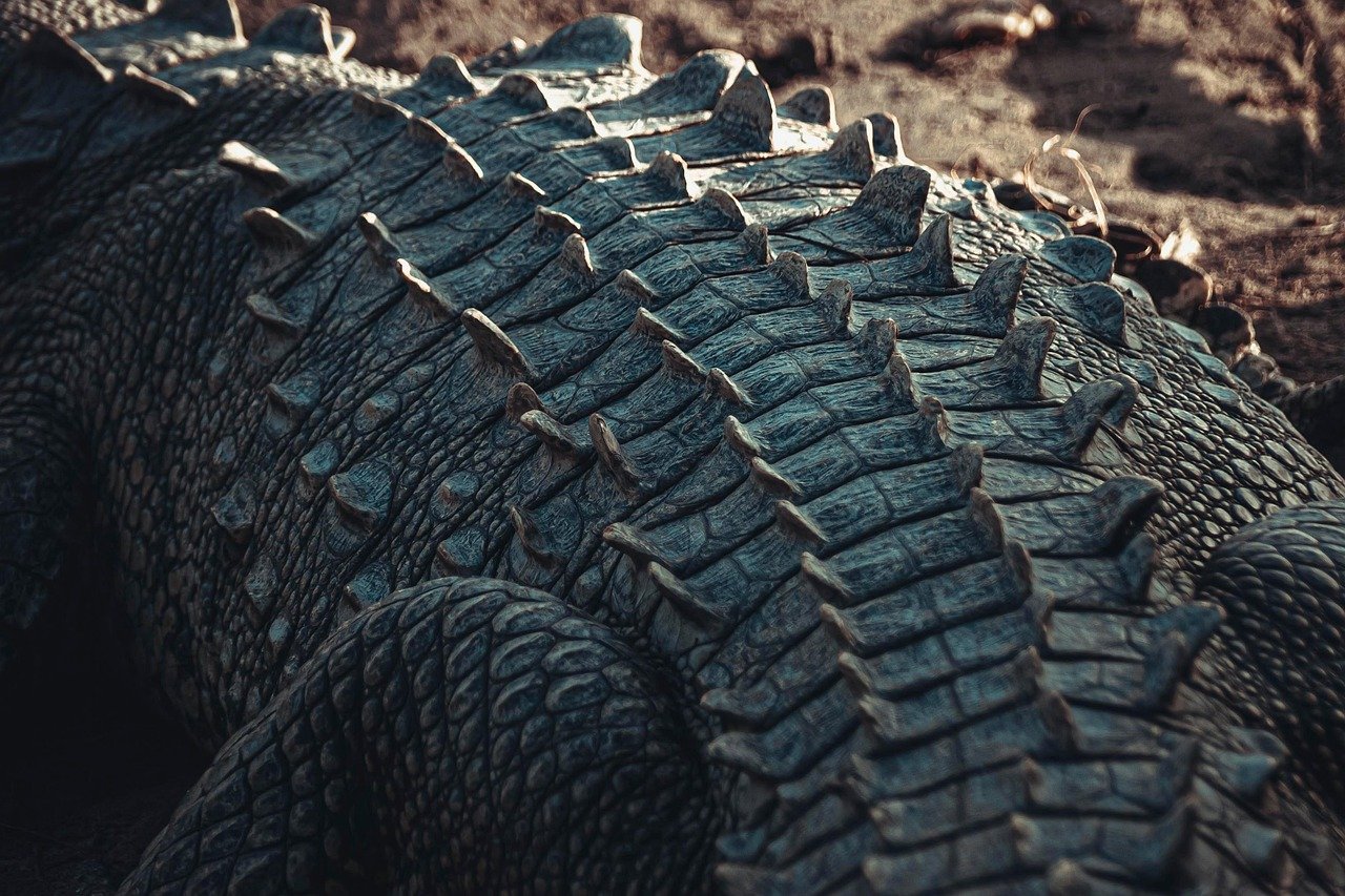 Armor That Actually Works (image credits: pixabay)
