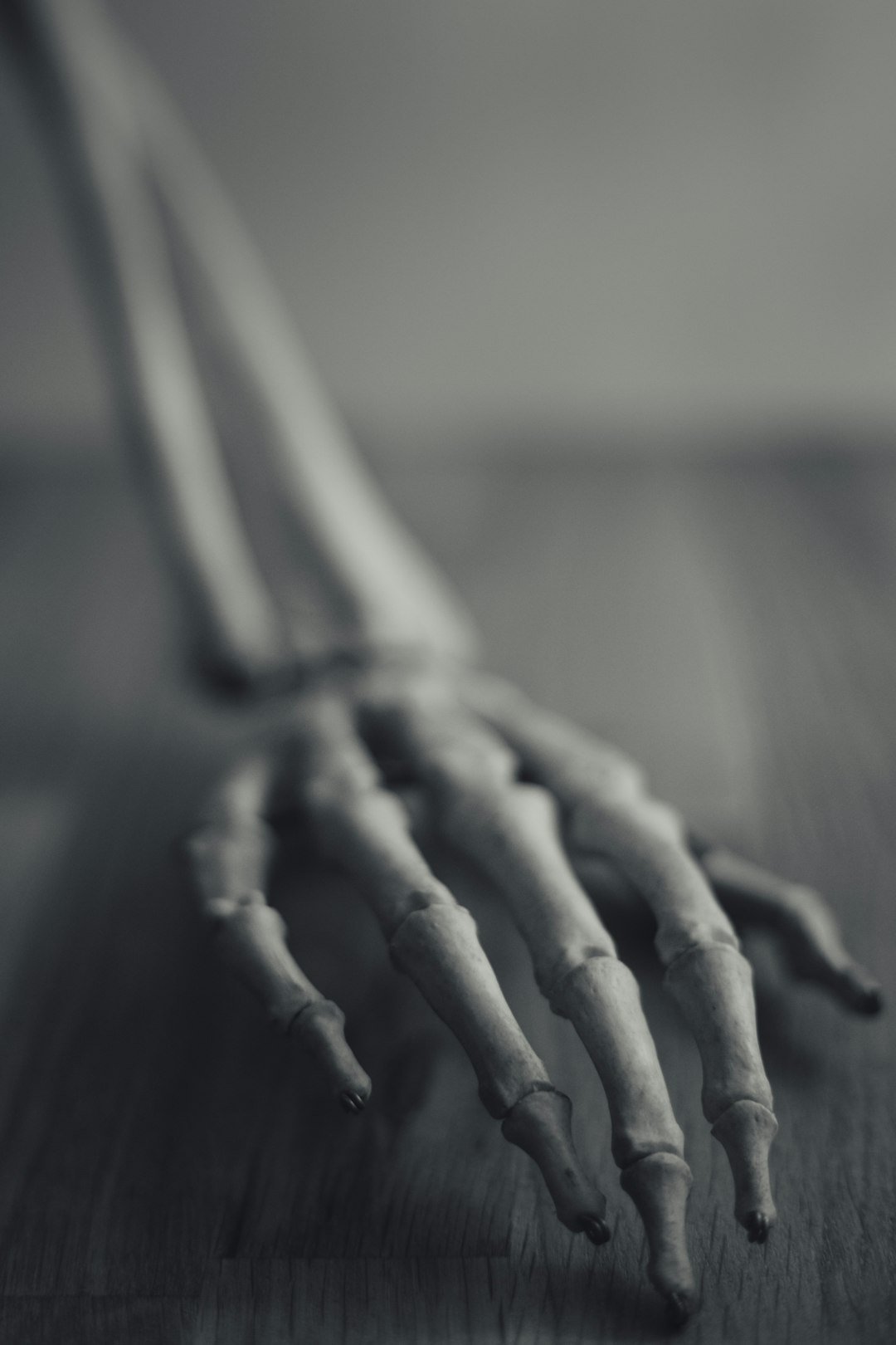 The Hidden Costs of Being “Resistant” (image credits: unsplash)