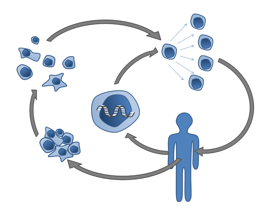 Why It Matters (image credits: wikimedia)