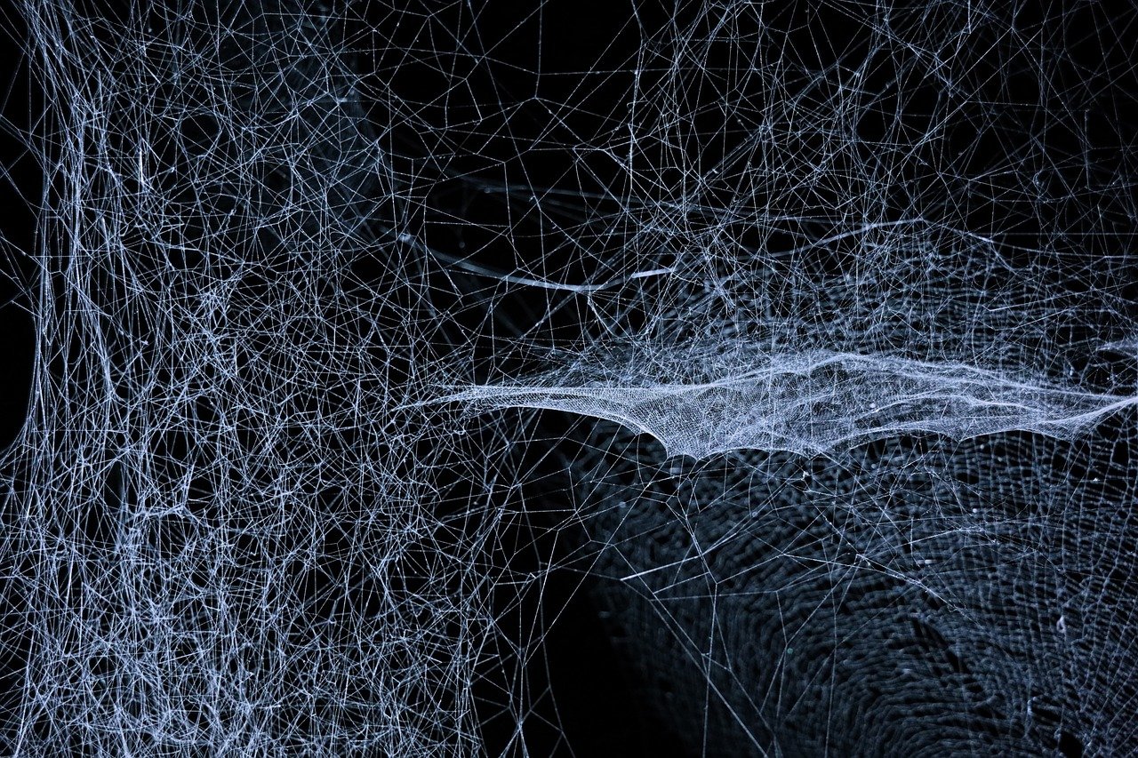 Quantum Entanglement Connects Particles Across the Universe (image credits: pixabay)