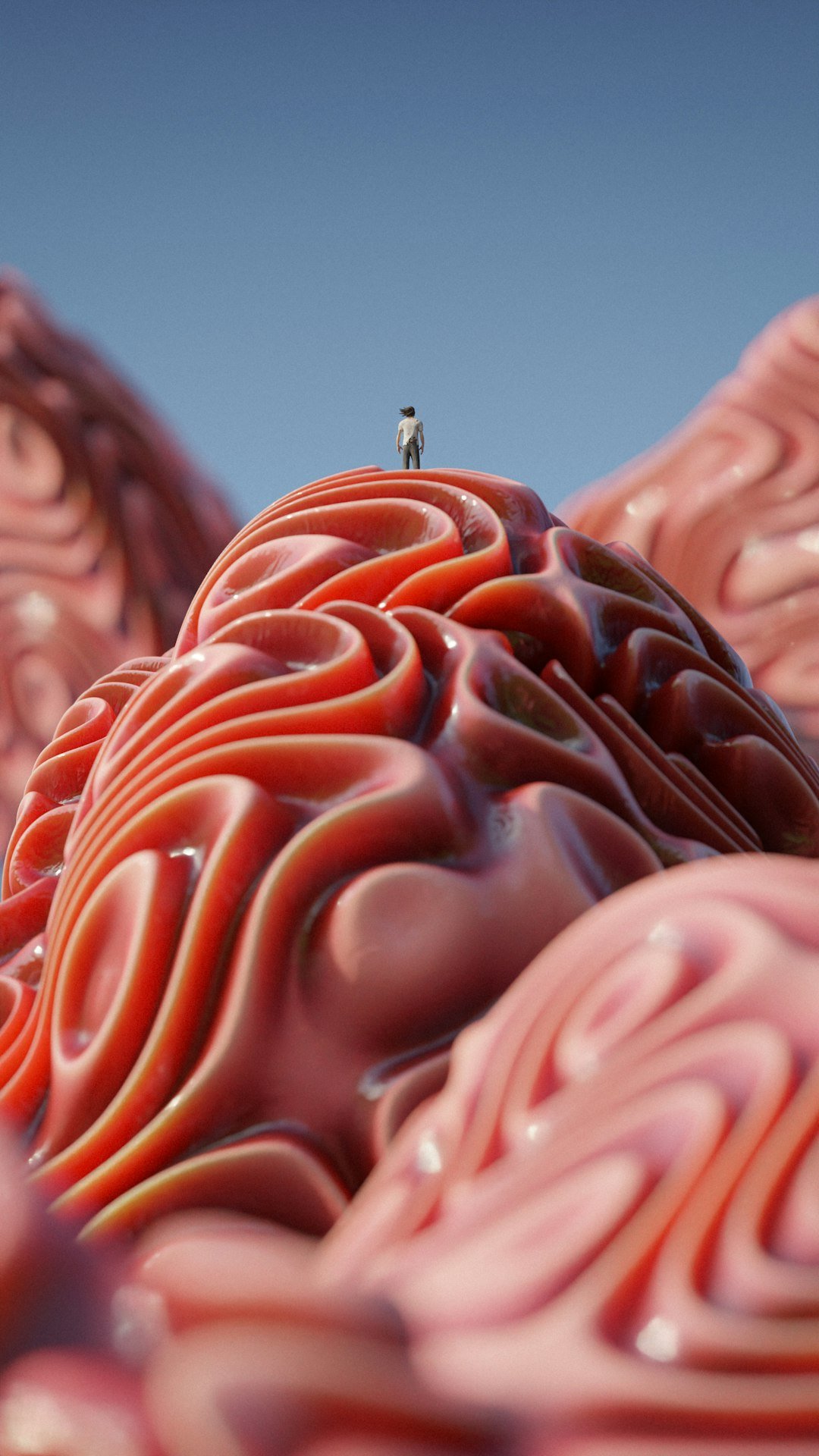 Conclusion: Your Gut Feelings Were Right All Along (image credits: unsplash)