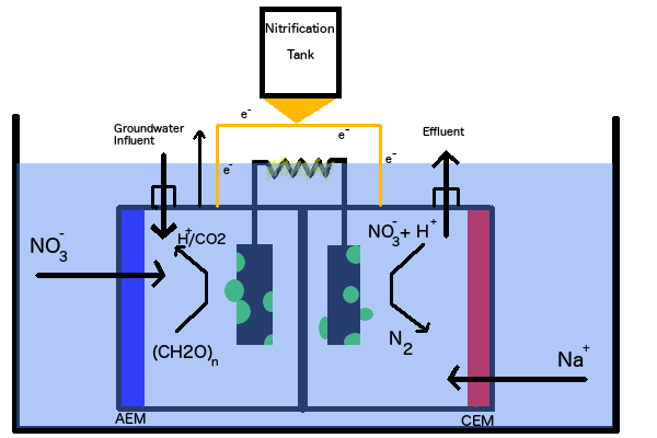 Rewriting the Bioelectric Rulebook (image credits: wikimedia)