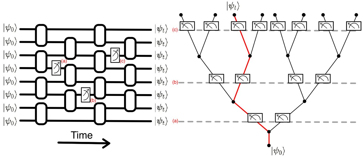 The Measurement Twist: Not Mind Over Matter, Just Physics (image credits: wikimedia)