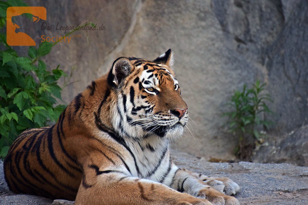 Conclusion: Nature's Ultimate Security System (image credits: flickr)