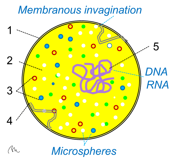 The Hidden Clues (image credits: wikimedia)