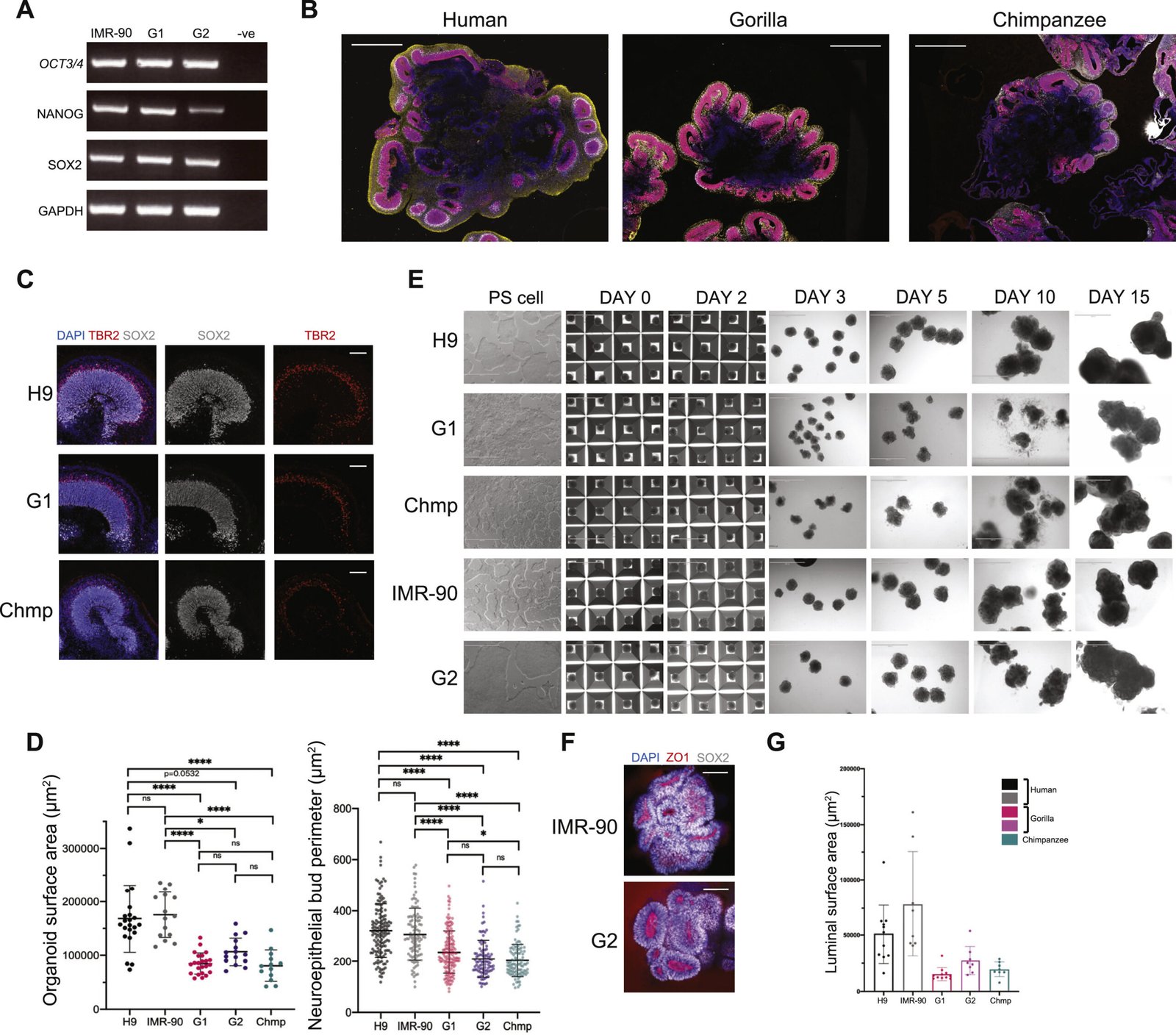 The Breakthrough Experiments (image credits: wikimedia)