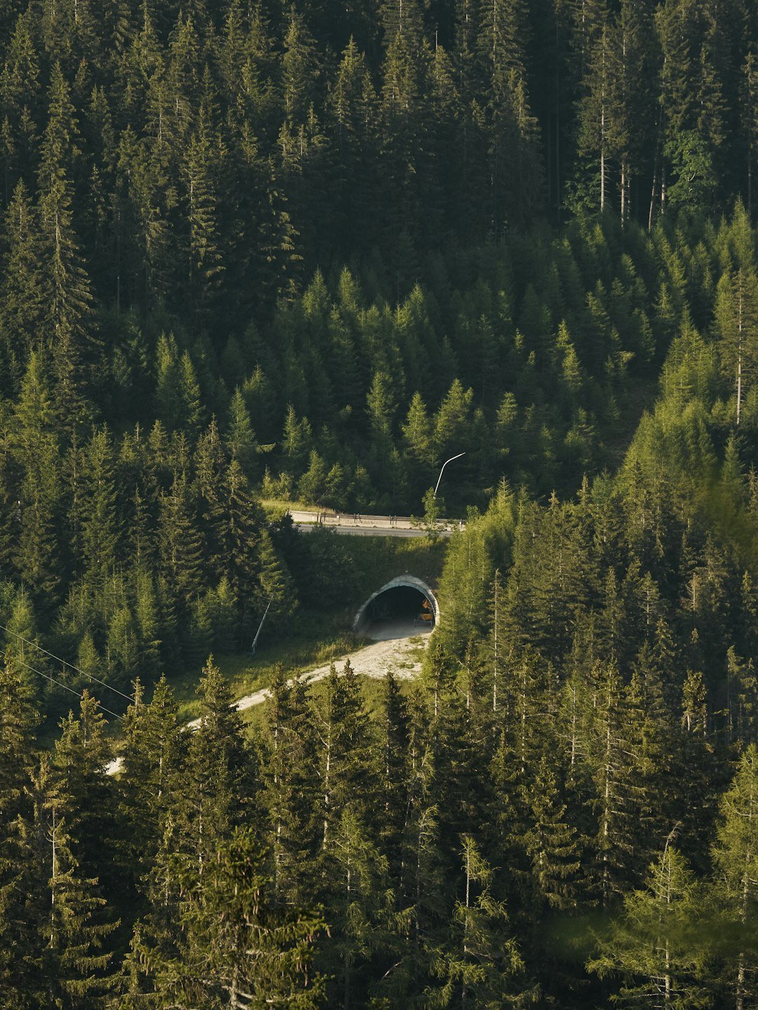 The Future Landscape (image credits: unsplash)
