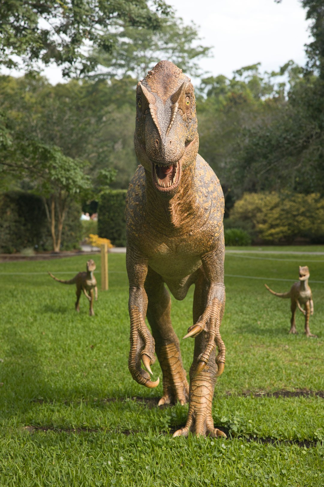 Reverse Engineering a Dinosaur (image credits: unsplash)