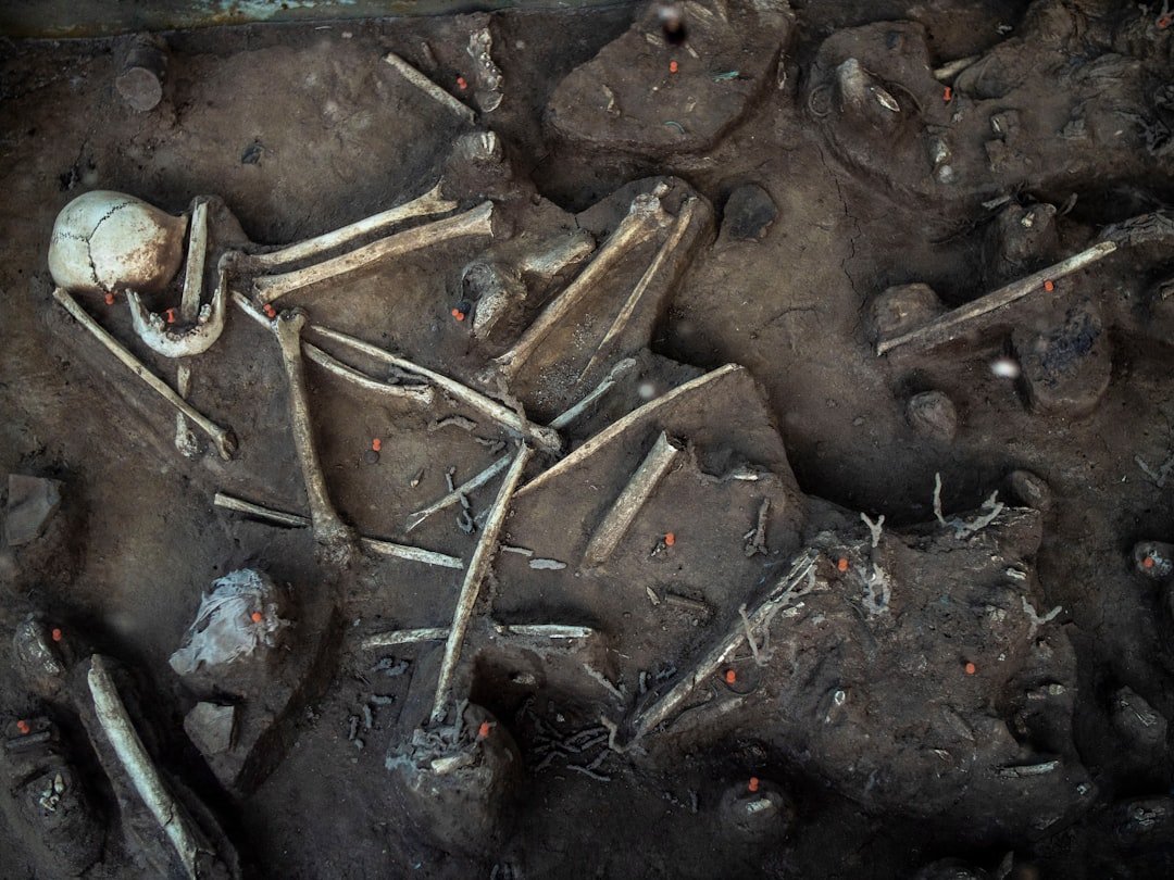 The Limits of Archaeological Evidence (image credits: unsplash)