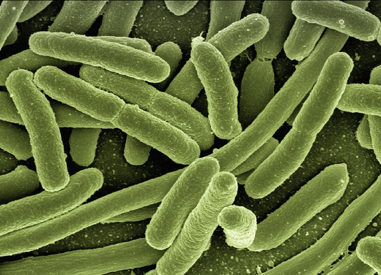 The Arsenic Controversy - A Glimpse Into Alternative Phosphorus (image credits: pixabay)