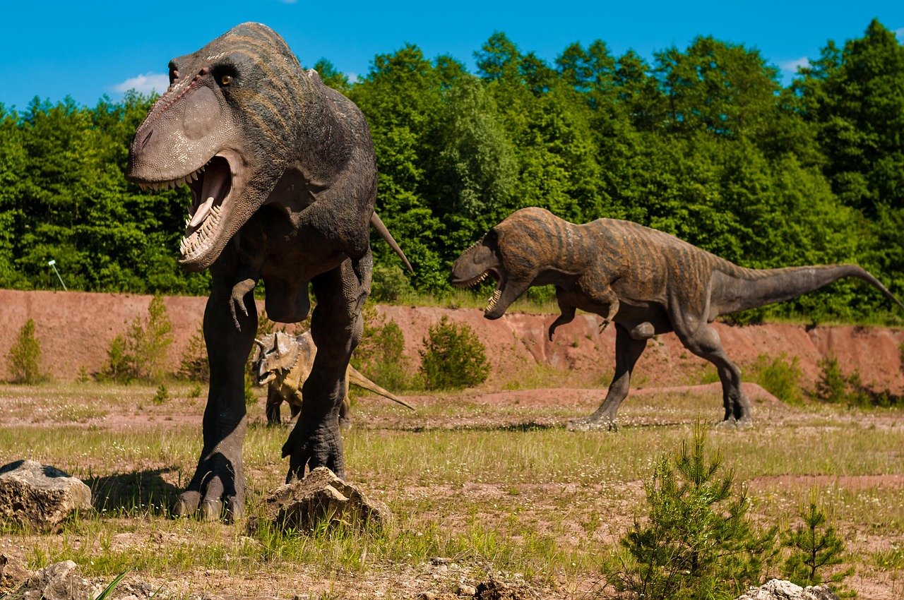 Predators That Make Lions Look Like House Cats (image credits: pixabay)