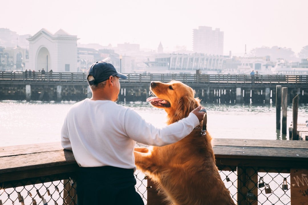 They Can Distinguish Between Different Types of Human Emotions (image credits: unsplash)
