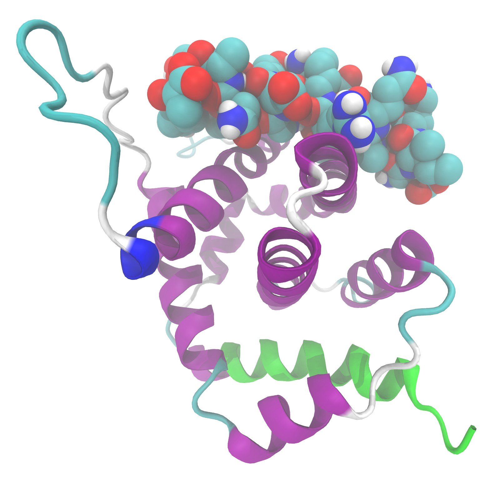 Ancient Proteins Tell the Tale of Evolutionary Survival (image credits: By Ayacop, Public domain, https://commons.wikimedia.org/w/index.php?curid=8669200)