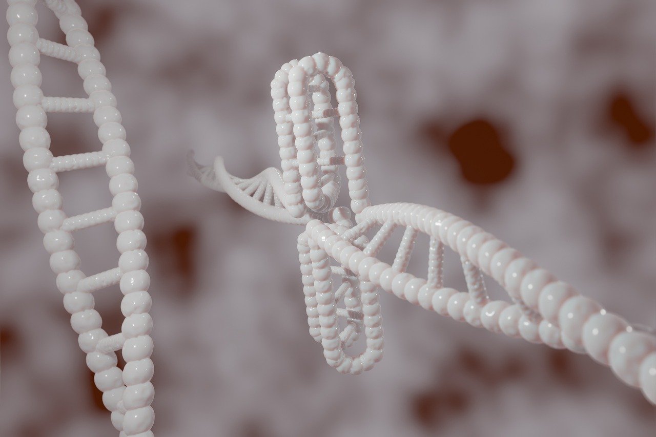 The Genetic Smoking Gun: Shared DNA Sequences (image credits: pixabay)