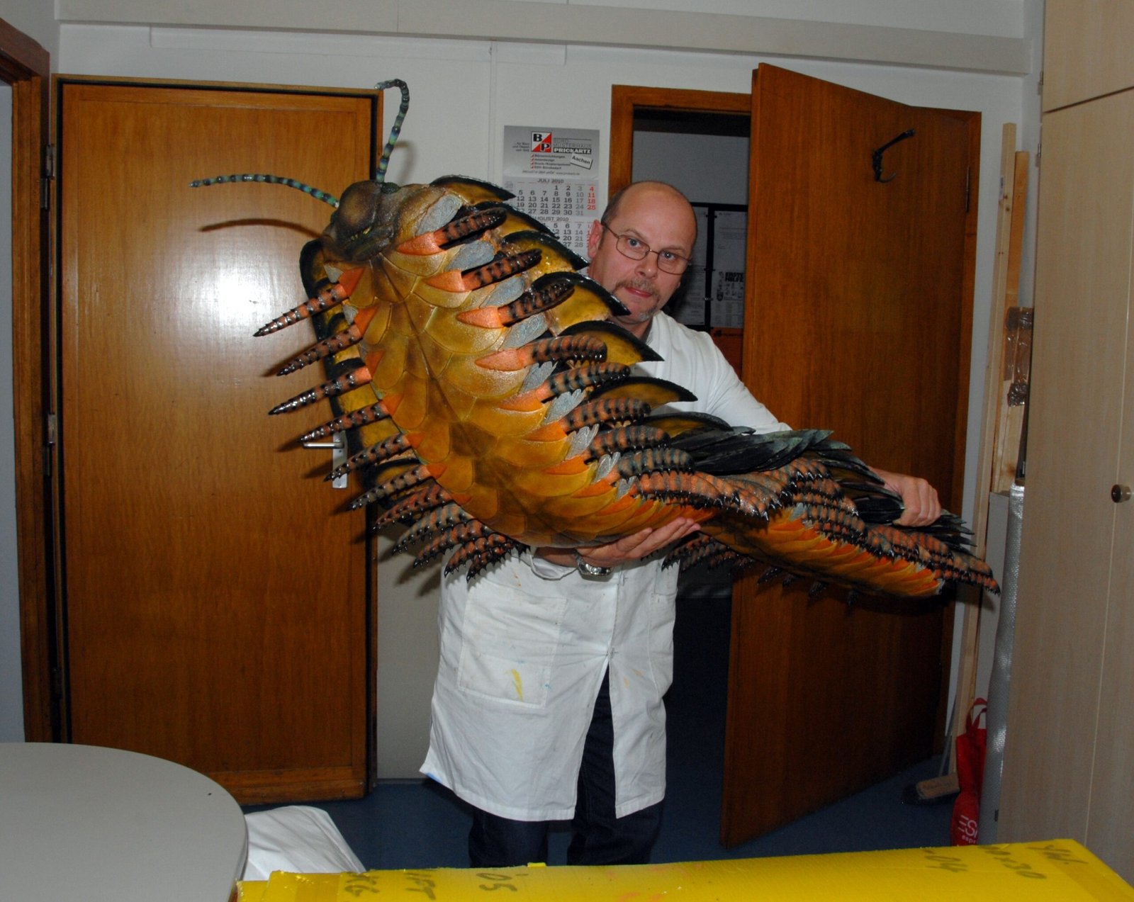 Arthropleura: The Giant Millipede of Ancient Forests (image credits: By Werner Kraus, CC BY-SA 4.0, https://commons.wikimedia.org/w/index.php?curid=113514583)