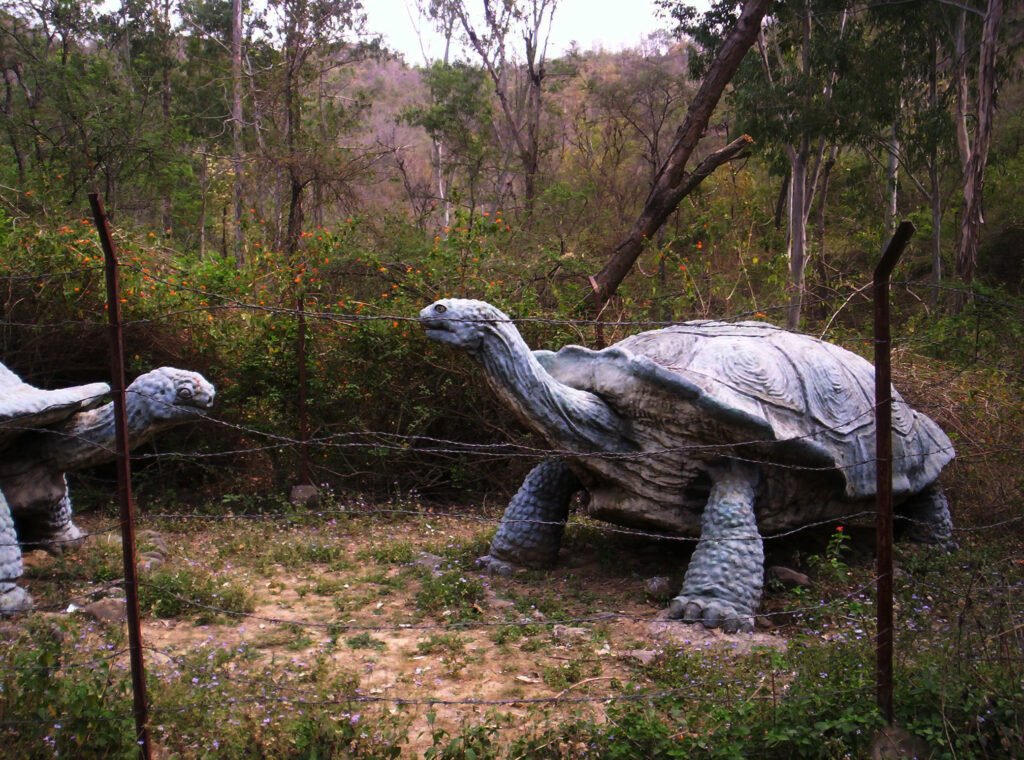 Megalochelys Atlas: The Colossal Land Turtle