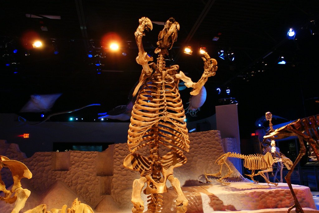 Giant Ground Sloth: The Bear-Sized Herbivore (image credits: flickr)