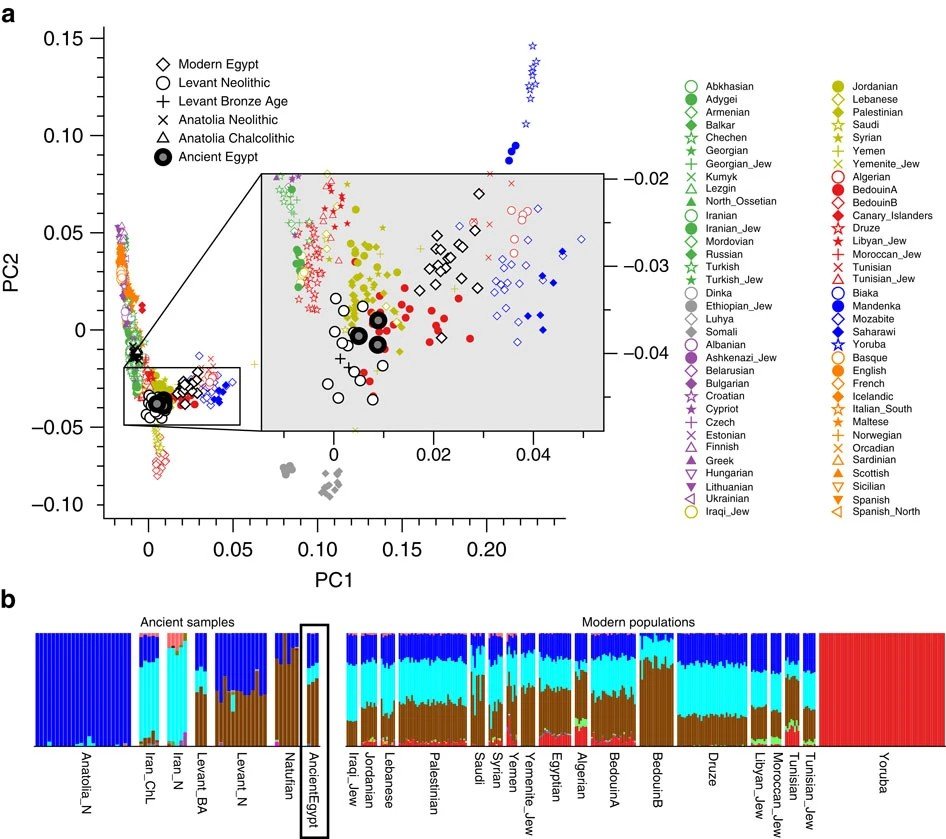 What Ancient Genomes Are Actually Telling Us (image credits: wikimedia)