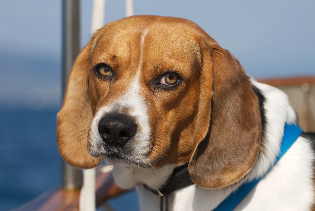 Conclusion (image credits: unsplash)