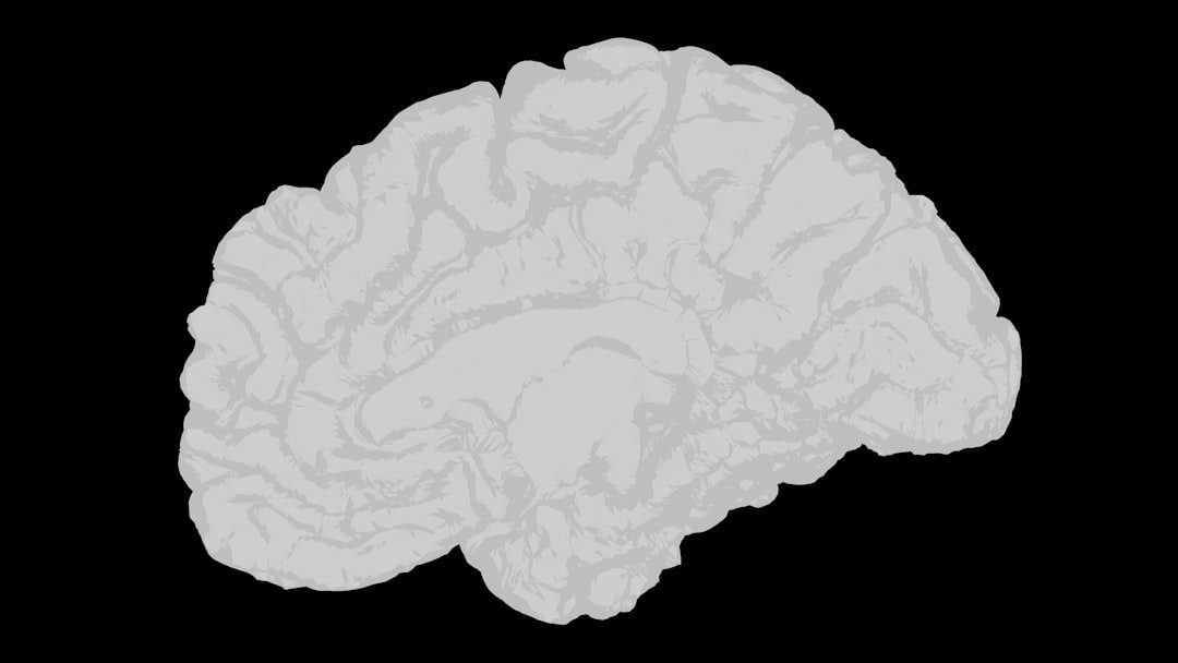 The Brain’s Timing Trick (image credits: unsplash)