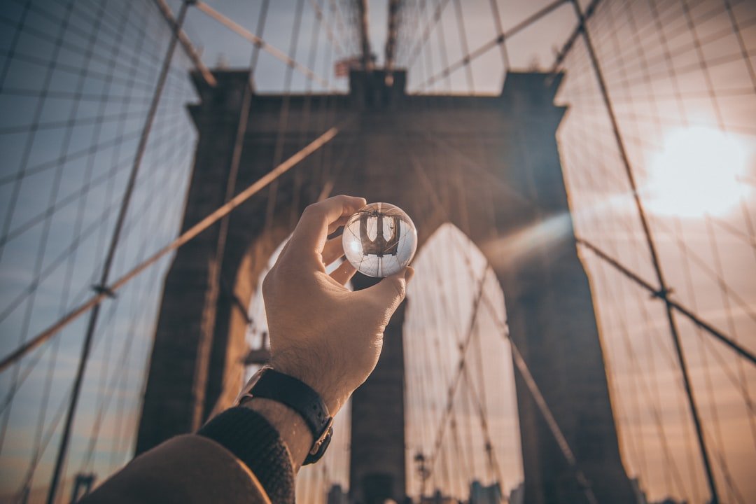 Conclusion (image credits: unsplash)
