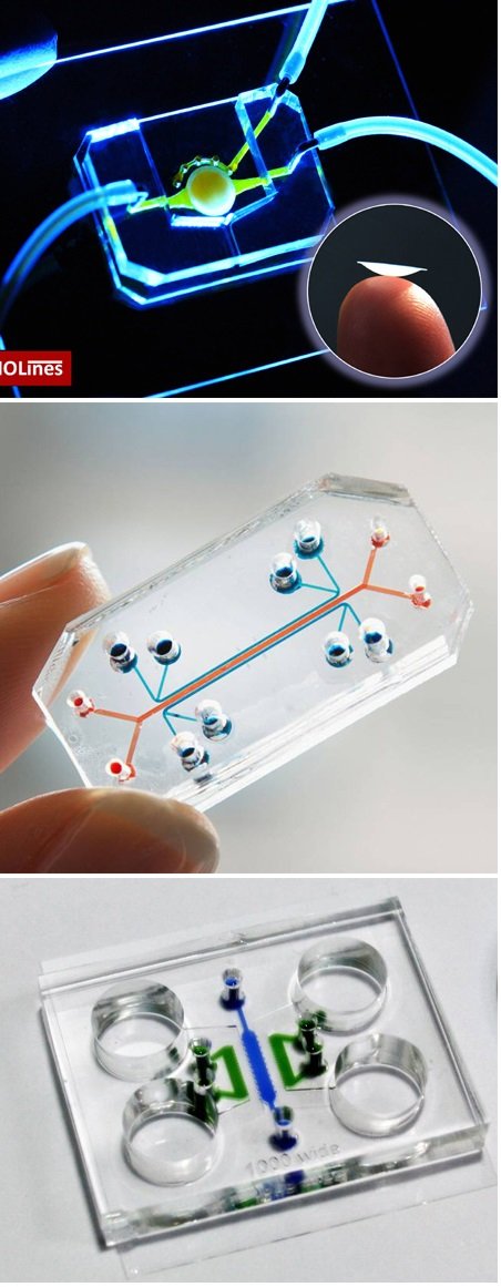 Why It Matters (image credits: wikimedia)